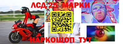 прущие грибы Бердск